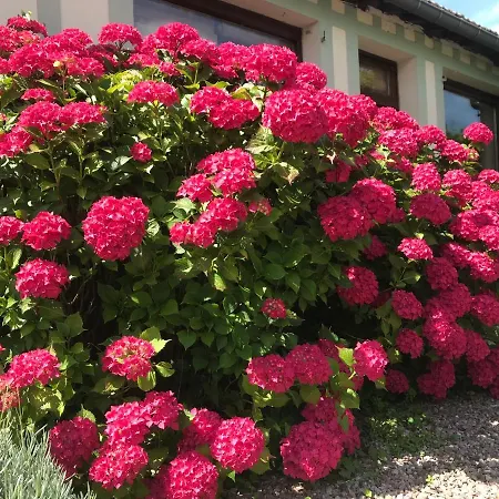 Bed & Breakfast D'hotes Les 4 Chemins Trouville-sur-Mer