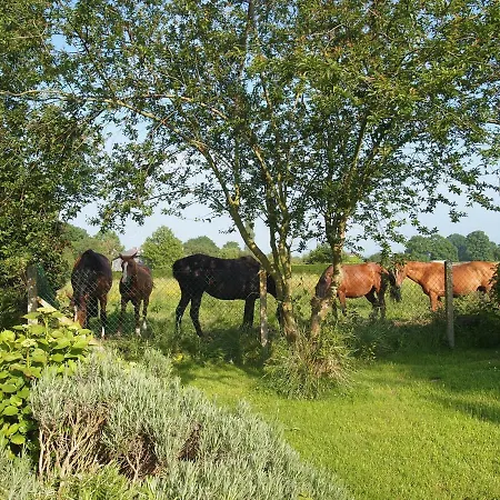 D'hotes Les 4 Chemins * Trouville-sur-Mer