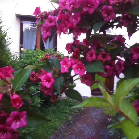 Bed & Breakfast D'hotes Les 4 Chemins